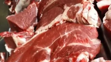 بـ 240 جنيهاً فقط.. أسعار اللحوم في كفر الشيخ تسجل تراجعاً جديداً اليوم بالأسواق